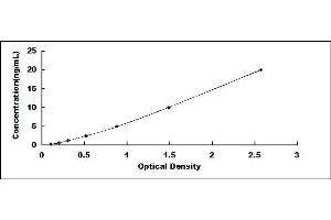 Typical standard curve (Desmocollin 2 Kit ELISA)