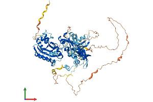 AlphaFold protein structure predicition of Human Recombinant ESRP2 Protein, UniprotID Q9H6T0