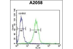 SOX4 Antibody (N-term) (ABIN388786 and ABIN2839119) flow cytometric analysis of  cells (right histogram) compared to a negative control cell (left histogram).