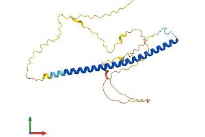 AlphaFold protein structure predicition of Human Recombinant TFPT Protein, UniprotID P0C1Z6