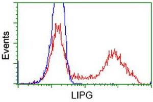 Flow Cytometry (FACS) image for anti-Lipase, Endothelial (LIPG) antibody (ABIN1499160)