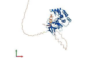 AlphaFold protein structure predicition of Mouse Recombinant Csnk1g3 Protein, UniprotID Q8C4X2