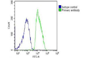 Overlay histogram showing MCF-7 cells stained with A (green line).