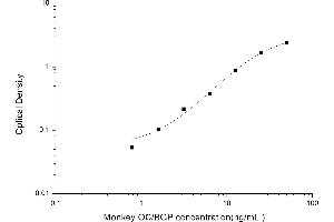 Osteocalcin (BGLAP) ELISA Kit