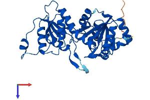 AlphaFold protein structure predicition of Mouse Recombinant Pgp Protein, UniprotID Q8CHP8
