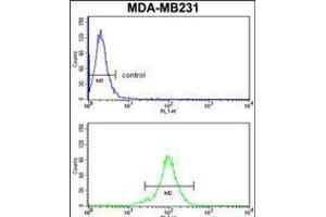 Flow cytometry analysis of MDA-MB231 cells (bottom histogram) compared to a negative control cell (top histogram). (RPGRIP1 anticorps  (AA 530-557))