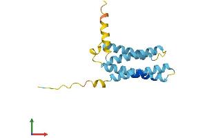AlphaFold protein structure predicition of Mouse Recombinant Plp2 Protein, UniprotID Q9R1Q7