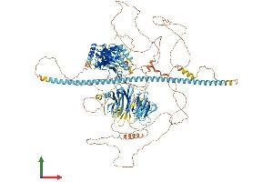 AlphaFold protein structure predicition of Mouse Recombinant Tnik Protein, UniprotID P83510