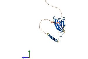 AlphaFold protein structure predicition of Human Recombinant TNFSF13B Protein, UniprotID Q9Y275