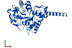 AlphaFold protein structure predicition of Mouse Recombinant Gdpd1 Protein, UniprotID Q9CRY7