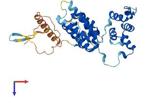 AlphaFold protein structure predicition of Mouse Recombinant Fbxo32 Protein, UniprotID Q9CPU7