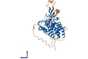 AlphaFold protein structure predicition of Mouse Recombinant Gsdmc2 Protein, UniprotID Q2KHK6