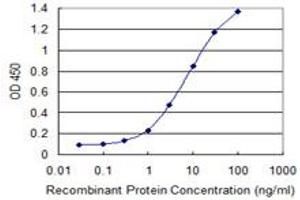 Detection limit for recombinant GST tagged HSFY1 is 0. (HSFY1 anticorps  (AA 1-99))