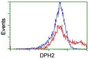 Flow Cytometry (FACS) image for anti-Diphthamide Biosynthesis Protein 2 (DPH2) antibody (ABIN1497892)