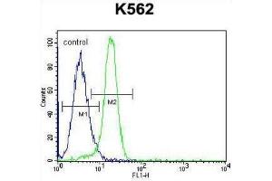 Flow Cytometry (FACS) image for anti-Nemo-Like Kinase (NLK) (Thr286) antibody (ABIN3003279)