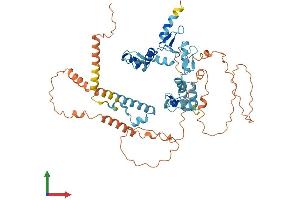 AlphaFold protein structure predicition of Human Recombinant ZNF891 Protein, UniprotID A8MT65