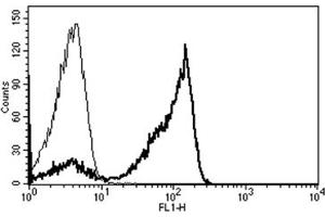 Flow Cytometry (FACS) image for anti-CD2 (CD2) antibody (FITC) (ABIN1106021) (CD2 anticorps  (FITC))