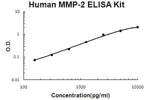 Human MMP-2 Accusignal ELISA Kit Human MMP-2 AccuSignal ELISA Kit standard curve. (MMP2 Kit ELISA)