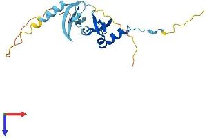 AlphaFold protein structure predicition of Human Recombinant CBX1 Protein, UniprotID P83916