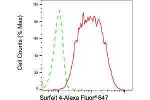 Flow cytometric analysis of Surfeit 4 expression in HT- cells using Surfeit 4 antibody (ABIN7800469), 1:2,000). (Recombinant Surfeit 4 anticorps)