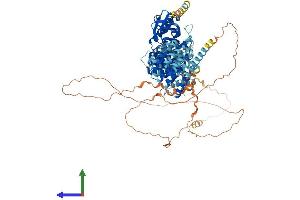 AlphaFold protein structure predicition of Mouse Recombinant Scyl2 Protein, UniprotID Q8CFE4