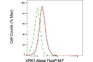 Flow cytometric analysis of VRK1 expression in HAP-1 cells using VRK1 antibody (ABIN7800811), 1:2,000).