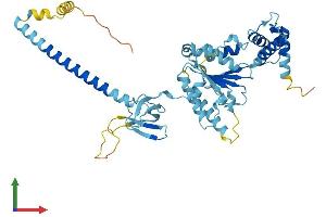 AlphaFold protein structure predicition of Human Recombinant PSMC3 Protein, UniprotID P17980