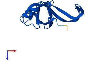 AlphaFold protein structure predicition of Mouse Recombinant Rpl35a Protein, UniprotID O55142