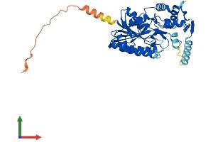AlphaFold protein structure predicition of Human Recombinant NSDHL Protein, UniprotID Q15738