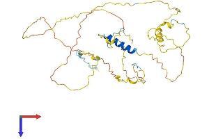 AlphaFold protein structure predicition of Human Recombinant RAD51AP1 Protein, UniprotID Q96B01