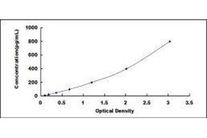 CD59 (CD59) ELISA Kit