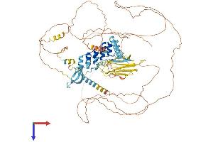 AlphaFold protein structure predicition of Human Recombinant MPHOSPH8 Protein, UniprotID Q99549