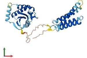 AlphaFold protein structure predicition of Mouse Recombinant Sec22c Protein, UniprotID Q8BXT9