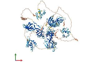 AlphaFold protein structure predicition of Human Recombinant TDRD7 Protein, UniprotID Q8NHU6