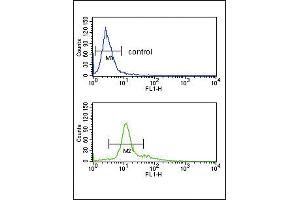 Flow cytometry analysis of K562 cells (bottom histogram) compared to a negative control cell (top histogram). (PCSK2 anticorps  (AA 318-346))
