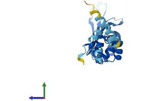 AlphaFold protein structure predicition of Human Recombinant FBXO36 Protein, UniprotID Q8NEA4
