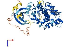 AlphaFold protein structure predicition of Human Recombinant CDK20 Protein, UniprotID Q8IZL9