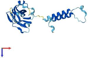 AlphaFold protein structure predicition of Mouse Recombinant Hikeshi Protein, UniprotID Q9DD02