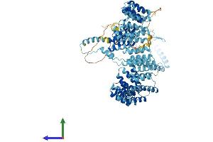 AlphaFold protein structure predicition of Mouse Recombinant Prpf6 Protein, UniprotID Q91YR7