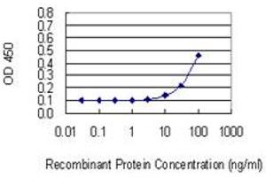 Detection limit for recombinant GST tagged HPN is 3 ng/ml as a capture antibody. (Hepsin anticorps  (AA 40-417))