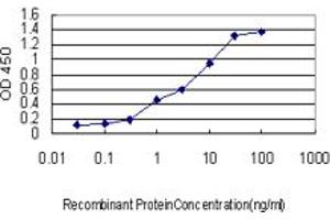 Detection limit for recombinant GST tagged CANT1 is approximately 0.
