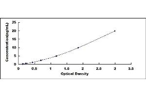 Typical standard curve