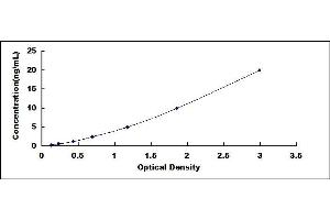 Typical standard curve (SDHC Kit ELISA)