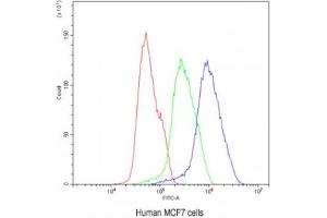 Flow cytometry testing of human MCF7 cells with BIK antibody at 1ug/10^6 cells (blocked with goat sera) (BIK anticorps  (AA 1-123))