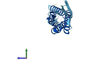AlphaFold protein structure predicition of Human Recombinant EMP3 Protein, UniprotID P54852