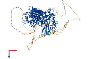 AlphaFold protein structure predicition of Human Recombinant XYLT1 Protein, UniprotID Q86Y38