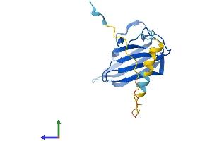 AlphaFold protein structure predicition of Human Recombinant PTGES3 Protein, UniprotID Q15185