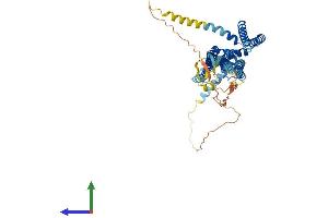 AlphaFold protein structure predicition of Human Recombinant OCSTAMP Protein, UniprotID Q9BR26