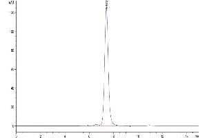 The purity of Mouse Neuropilin-2 is greater than 95 % as determined by SEC-HPLC.