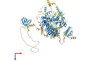 AlphaFold protein structure predicition of Human Recombinant DHX8 Protein, UniprotID Q14562
